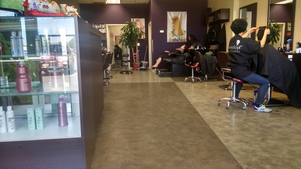 Hair Comfort Ltd | 5631 Steeles Ave E, Scarborough, ON M1V 5E2, Canada | Phone: (416) 754-0355