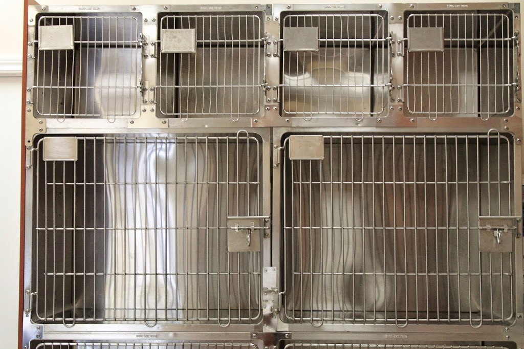 Eglinton Mavis Veterinary Hospital Mississauga | 5025 Heatherleigh Ave #5, Mississauga, ON L5V 2Y7, Canada | Phone: (905) 501-8387