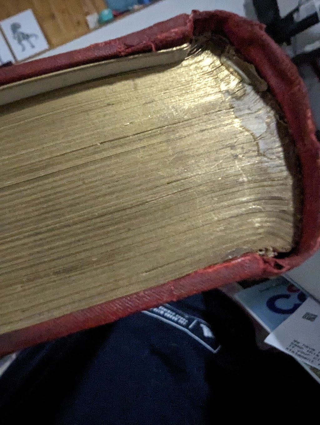 Ubbink Book and Paper Conservation | 2051 Valley Dr, Ottawa, ON K1G 2P2, Canada | Phone: (613) 523-0569