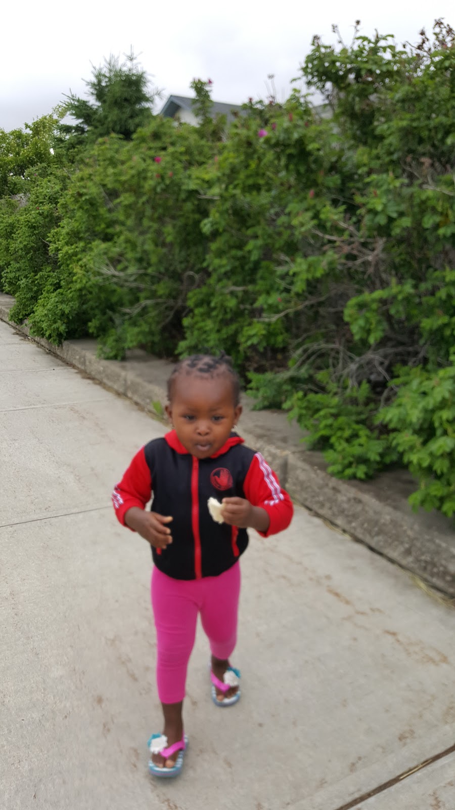 Poplar District Park | 8403 167 Ave NW, Edmonton, AB T5Z 0B3, Canada | Phone: (780) 457-0948