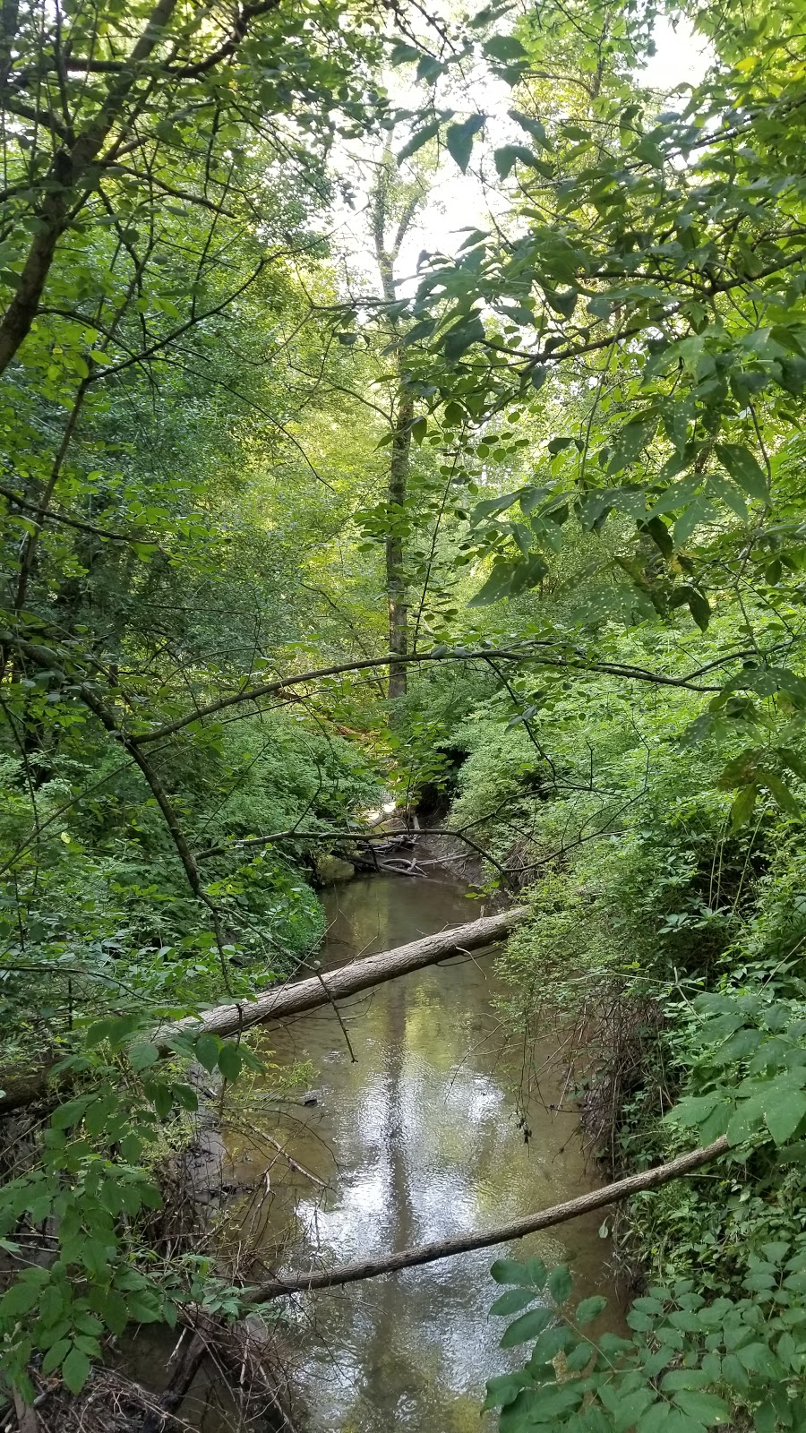 Monarch Trail small loop | 856 Old Dundas Rd, Dundas, ON L9H 5E3, Canada