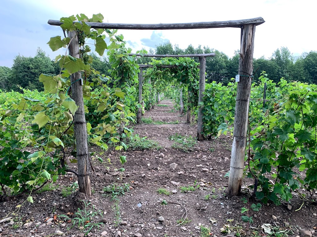 Vignoble du marathonien | 318 QC-202, Havelock, QC J0S 2C0, Canada | Phone: (450) 826-0522