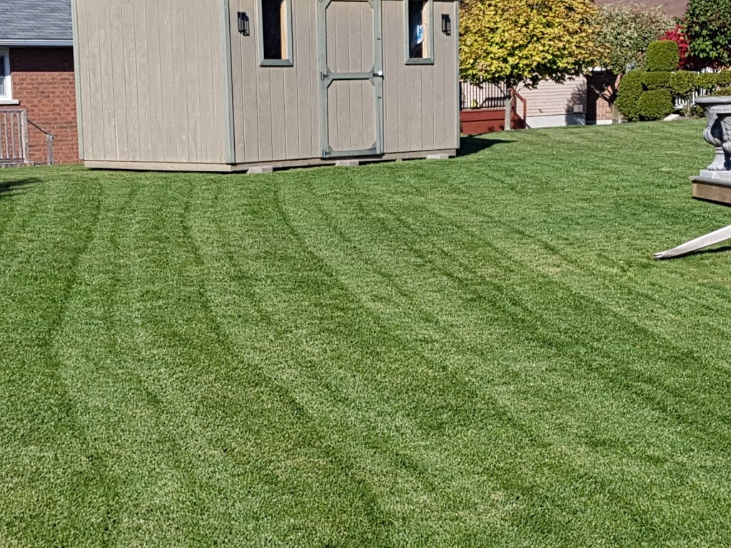 Brads Property Care | 20 Murdoch Ct, Lindsay, ON K9V 6L4, Canada | Phone: (705) 879-9276