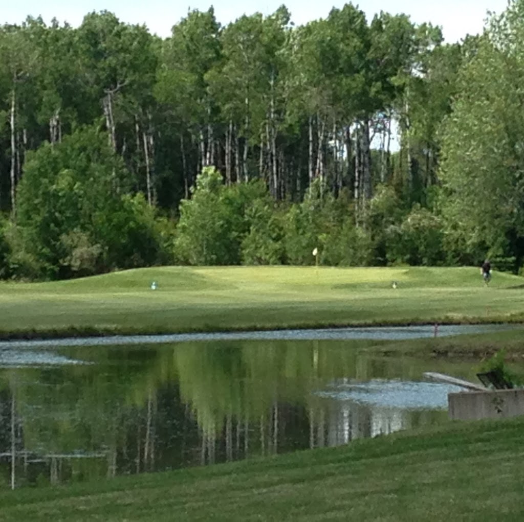 Stittsville Golf Course | 7967 Fernbank Rd, Ashton, ON K0A 1B0, Canada | Phone: (613) 257-5181