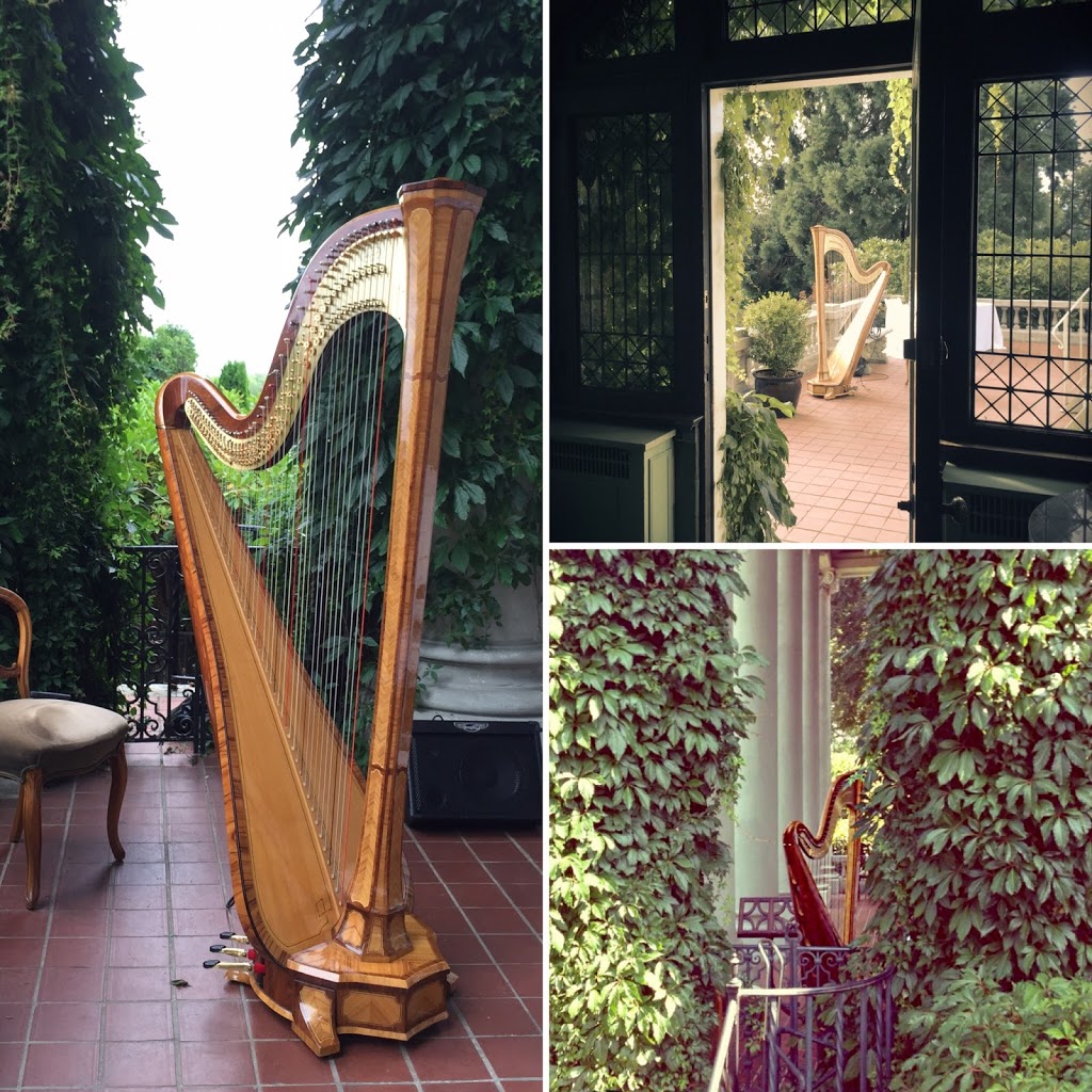 Vancouver Harp | 8091 Corless Pl, Richmond, BC V7C 4X4, Canada | Phone: (604) 773-5510