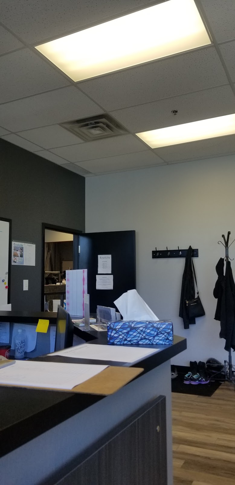 Kinetic Life | 3450 Ridgeway Dr Unit #17, Mississauga, ON L5L 0A2, Canada | Phone: (905) 569-0444