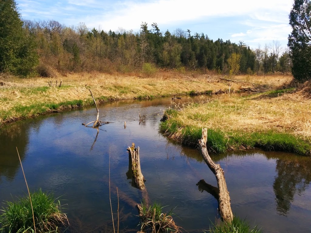 Limehouse Conservation Area | 12169 5th Line, Limehouse, ON L0P 1H0, Canada | Phone: (905) 670-1615