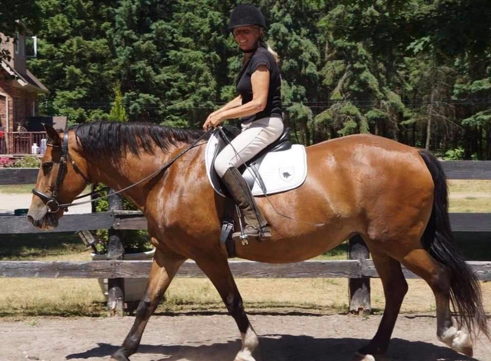 Railside Stables | Minesing, ON L0L 1Y3, Canada | Phone: (705) 715-7686