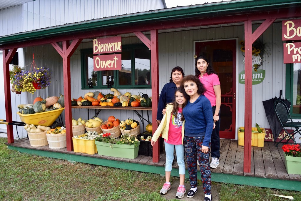 Ferme Éthier Les Fruits Soleil | 490 4 Rang, Saint-Étienne-des-Grès, QC G0X 2P0, Canada | Phone: (819) 376-8062