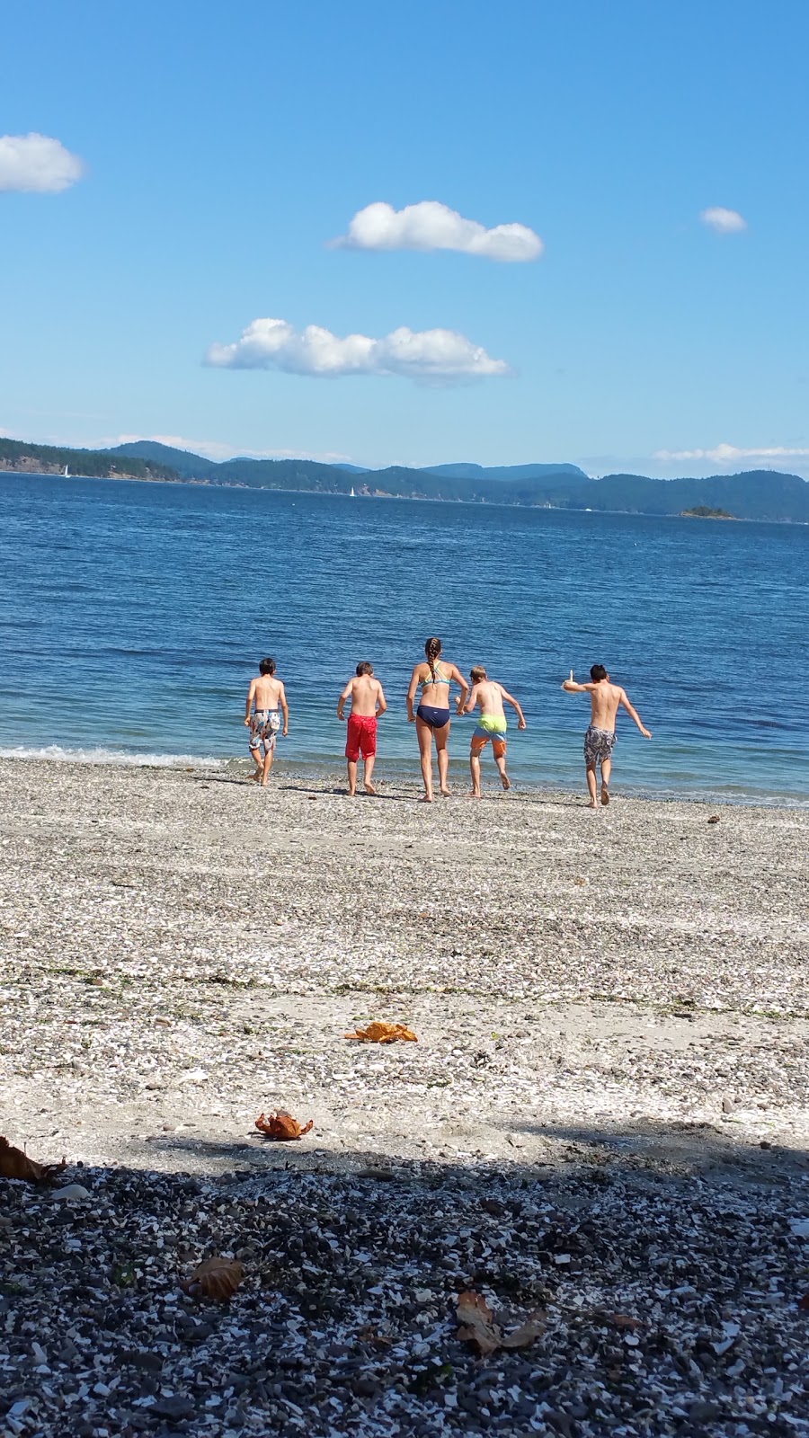 Beddis Beach | 1456-1460 Beddis Rd, Salt Spring Island, BC V8K 2E2, Canada | Phone: (250) 360-3000