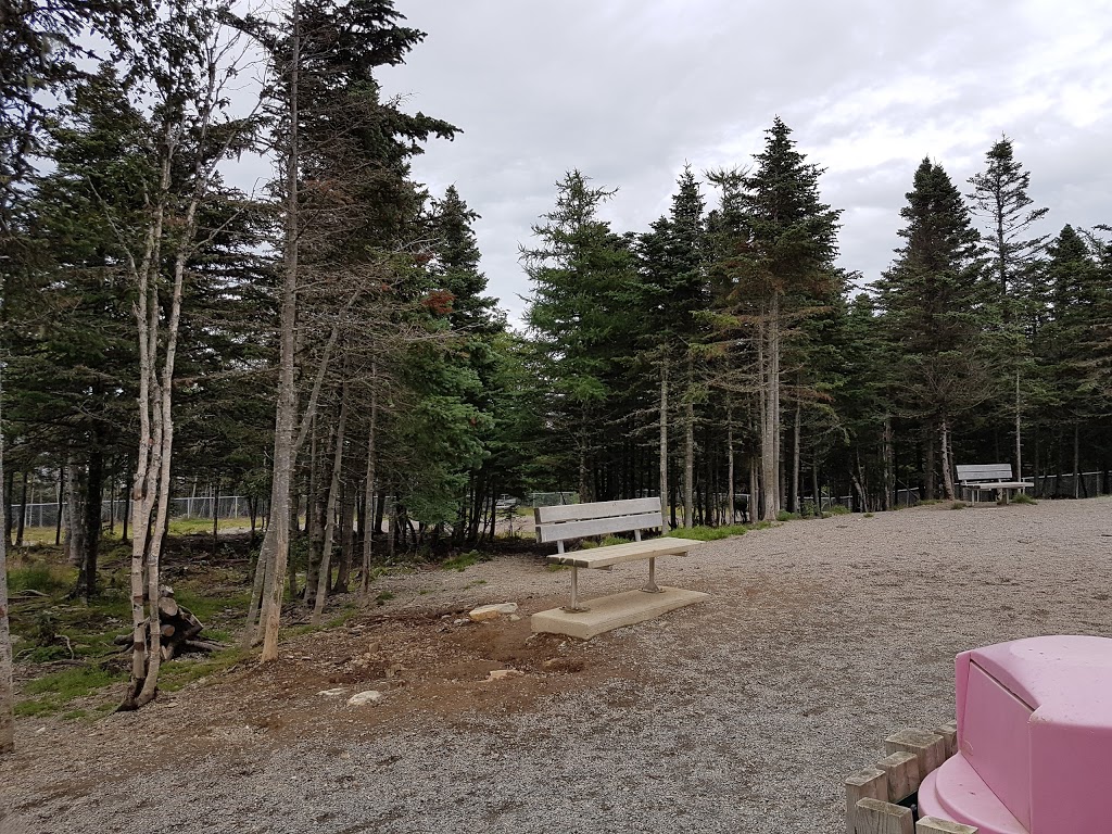 Mount Pearl Dog Park | 43 Clyde Ave, Mount Pearl, NL A1N 4S2, Canada | Phone: (709) 748-1047