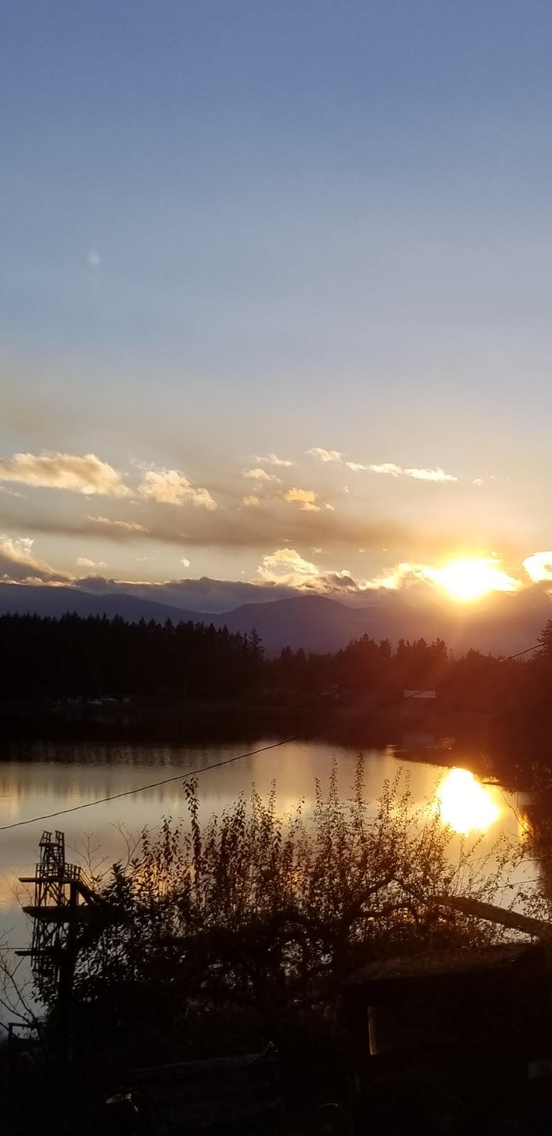 Zuiderzee Campsites | 2575 Enefer Rd, Nanaimo, BC V9X 1W7, Canada | Phone: (250) 722-2334