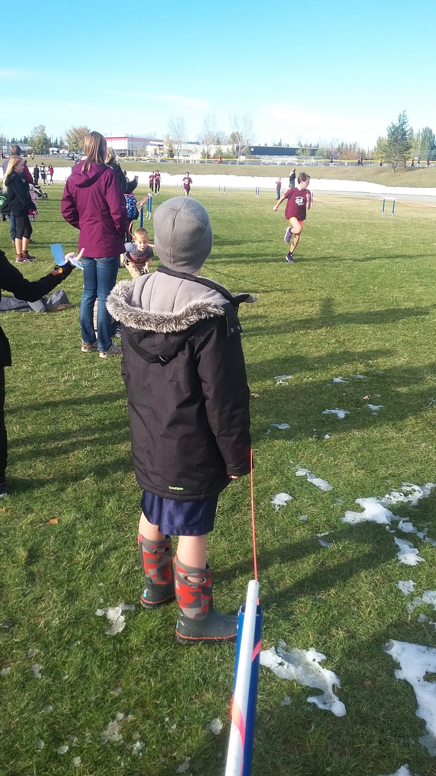 Wylie Athletic Park - Skate and Spray Park | 28 Downey Rd, Okotoks, AB T1S 1H5, Canada