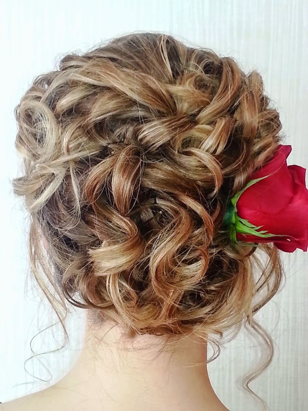 Elegance Express | 2727 Grand Canal St, Nepean, ON K2J 0T1, Canada | Phone: (613) 761-8272