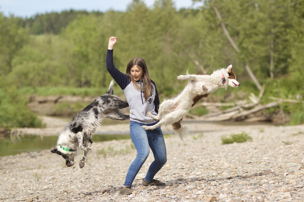 Alexandra Côté, entrainement canin | 3755 Chem. de lAéroport, Thetford Mines, QC G6G 5R7, Canada | Phone: (418) 334-9974