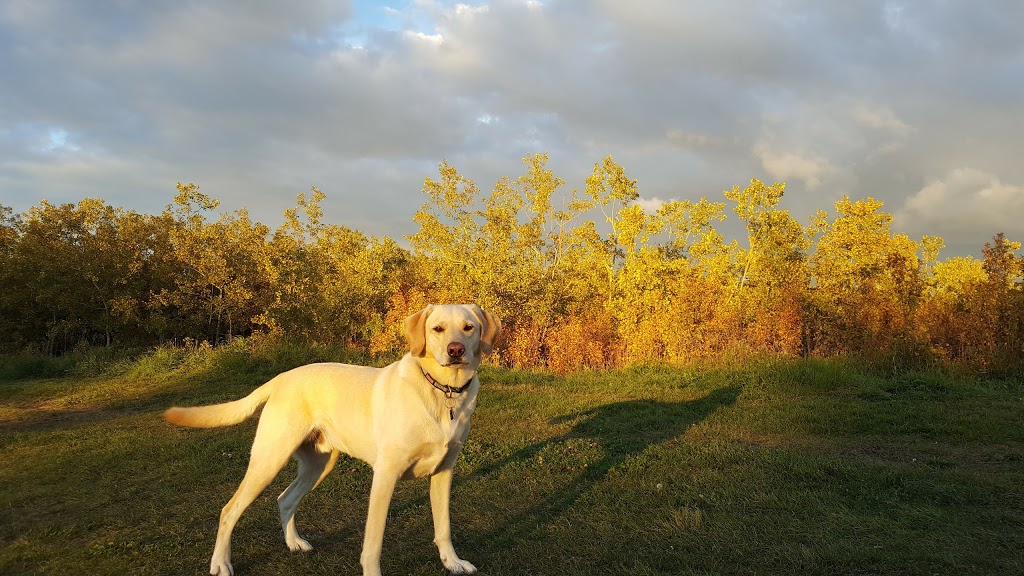 Off leash Park | Braeside, Calgary, AB T2W 1R9, Canada