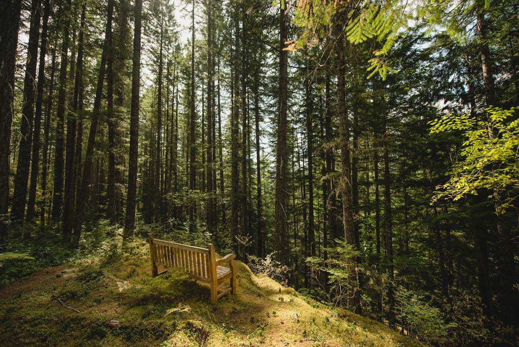 The Brew Creek Centre | 1 Brew Creek Rd, Whistler, BC V8E 0A7, Canada | Phone: (604) 932-7210