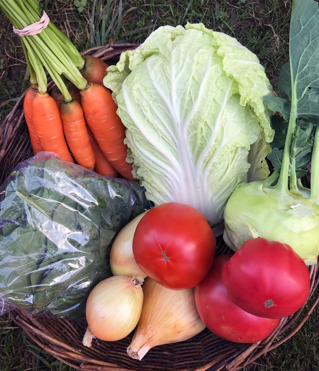Tendergreens Farm | 3553 Milman Rd, Courtenay, BC V9J 1N8, Canada | Phone: (250) 896-4981