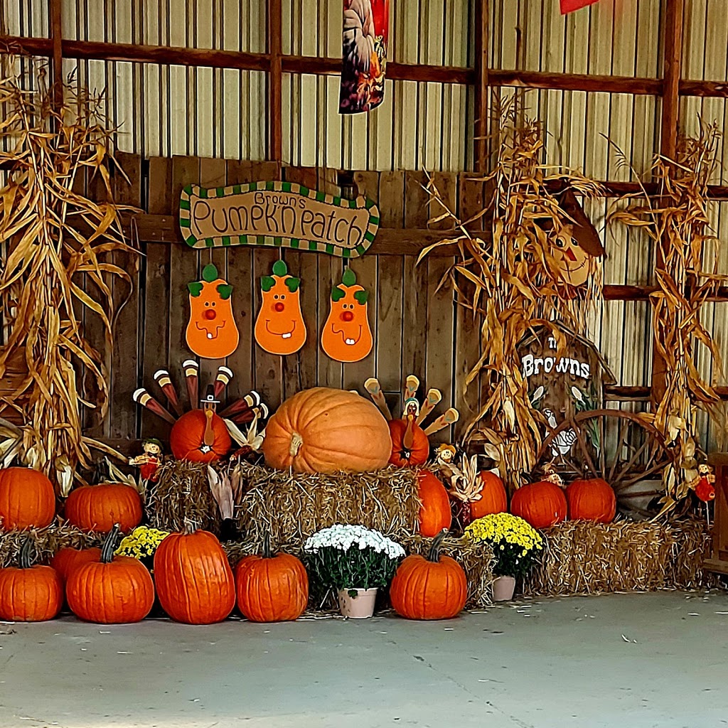 Browns Farm | *** Corn available at farm in Season Check farm Facebook Page for Corn availability****, 1809 Penetanguishene Rd, Barrie, ON L4M 4Y8, Canada | Phone: (705) 726-8017