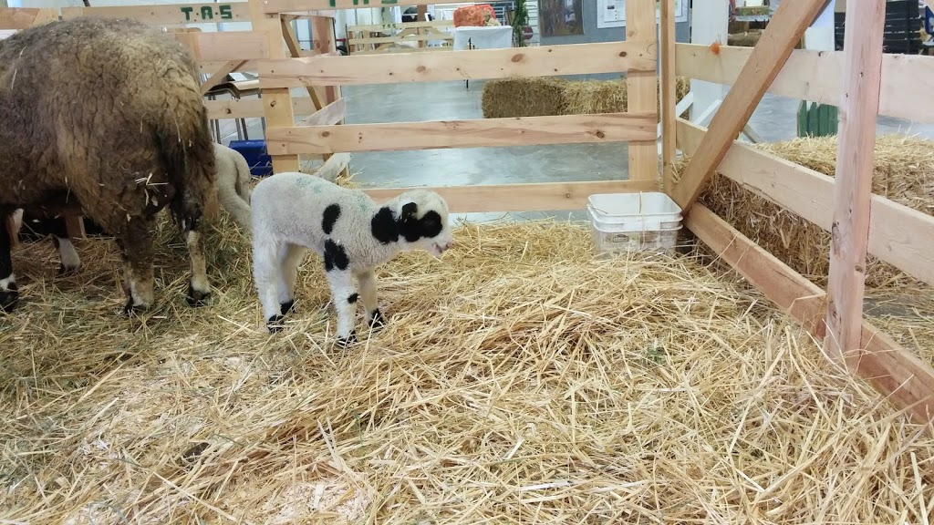 Teeswater Fair Board | 64 Gordon St E, Teeswater, ON N0G 2S0, Canada | Phone: (519) 392-8100
