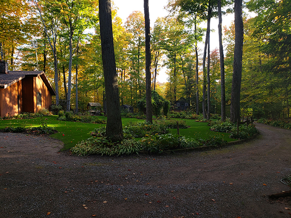 Consider the Lilies Bed and Breakfast | 16571 Ninth Line, Whitchurch-Stouffville, ON L4A 3N8, Canada | Phone: (416) 456-7167
