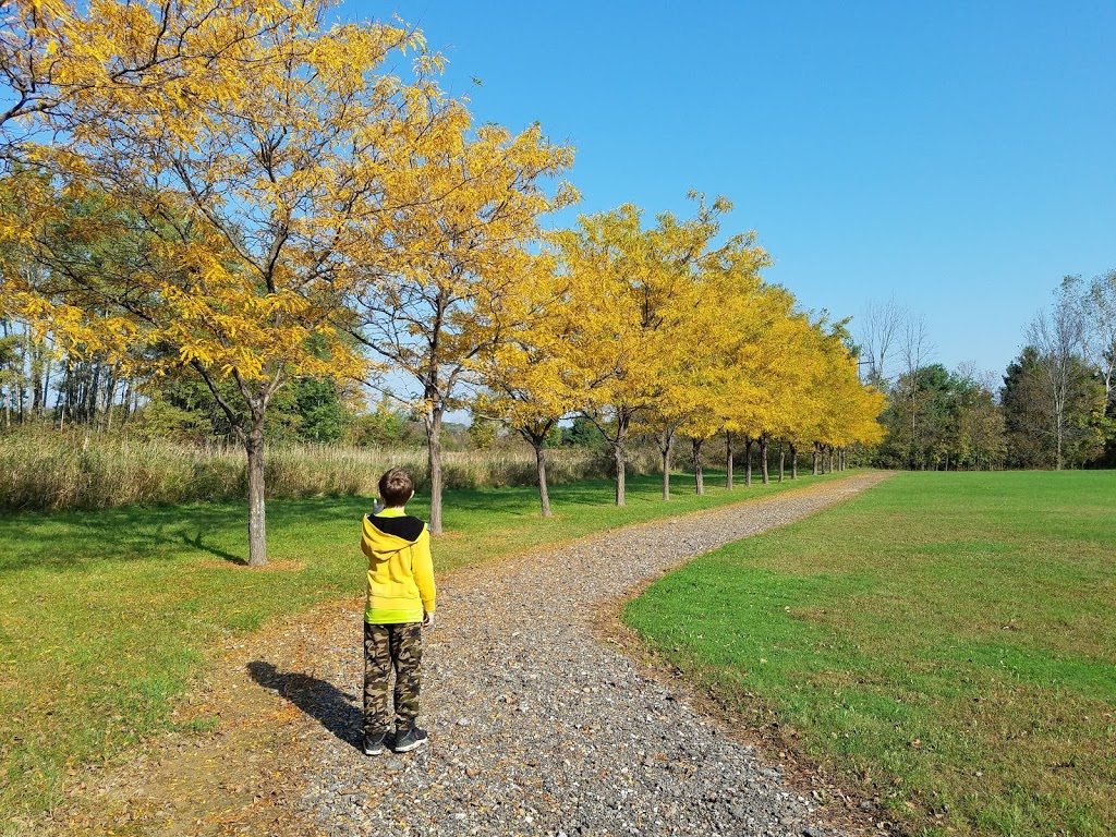 Town of Brant Town Park | 1020 Brant Farnham Rd, Irving, NY 14081, USA