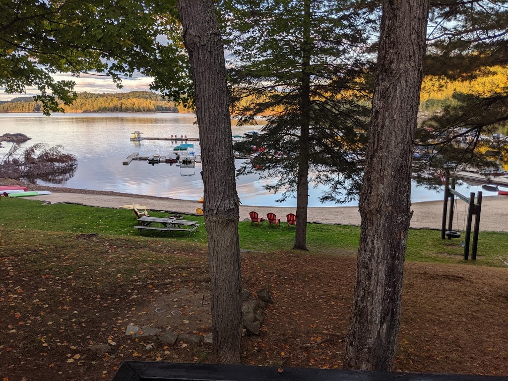 Little Hawk Resort & Marina | 2049 Little Hawk Lake Rd, Algonquin Highlands, ON K0M 1J2, Canada | Phone: (705) 489-2158
