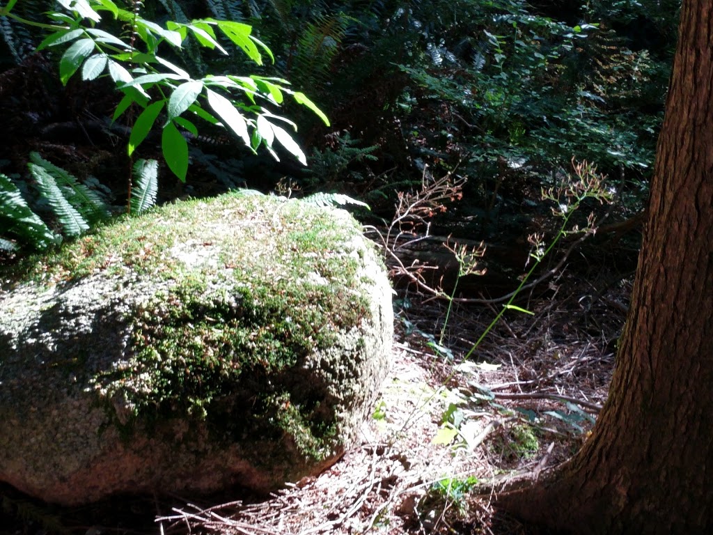 Turnberry Tot Lot | 2208 Turnberry Ln, Coquitlam, BC V3E 3N3, Canada | Phone: (604) 927-3000
