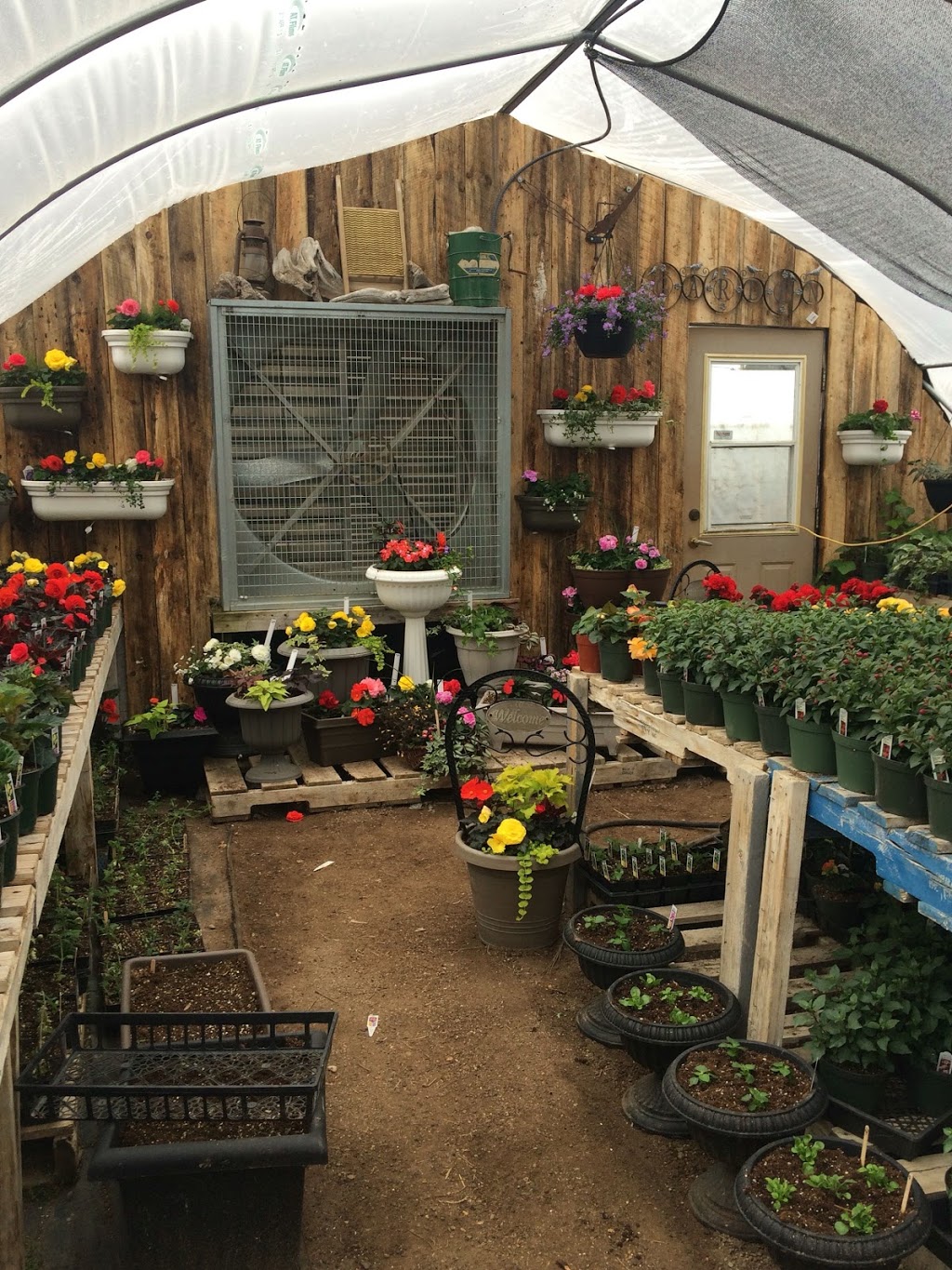 Obsession Greenhouses | 245 Buffalo Park Road, Saint Louis, SK S0J 2C0, Canada | Phone: (306) 422-8211