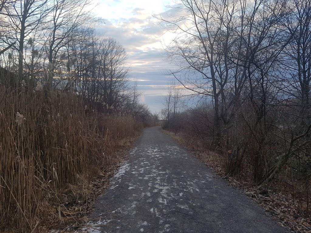 Gates Gully | Cliffcrest, Toronto, ON M1M, Canada