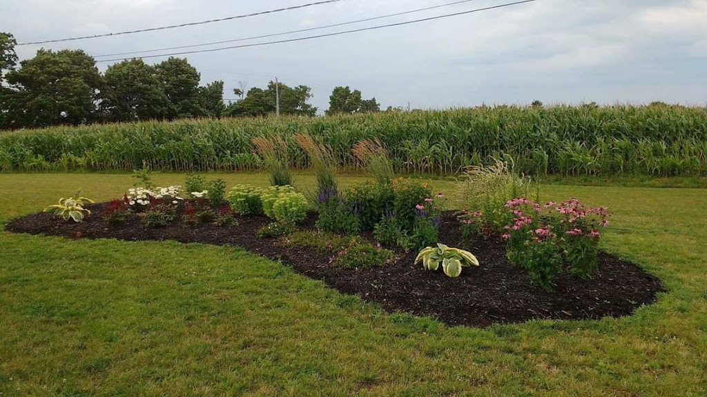 Maritza Roy Horticultrice | 738 Rte de St Vallier, Saint-Vallier, QC G0R 4J0, Canada | Phone: (418) 998-2117