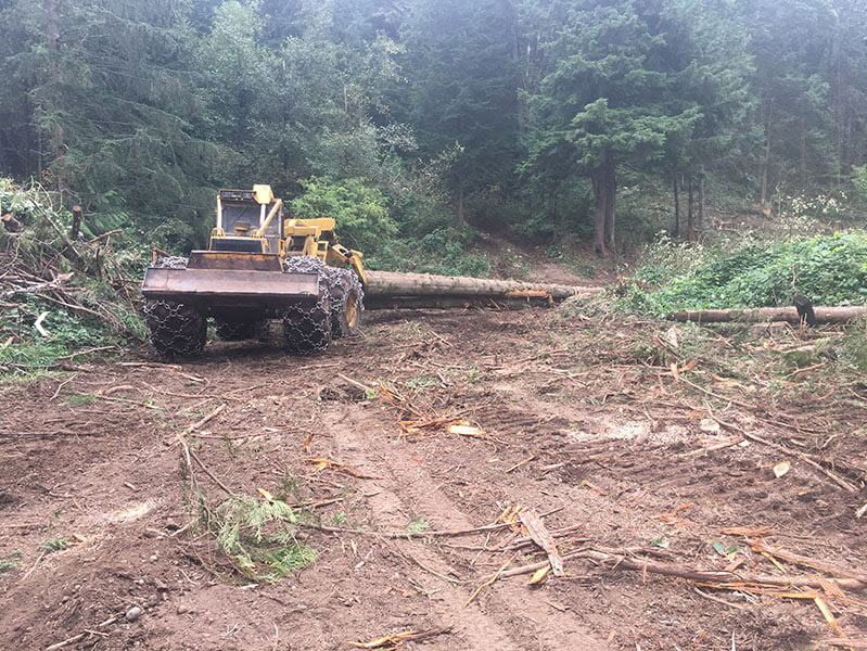 S A S Logging & Tree Service | 51633 Yale Rd, Rosedale, BC V0X 1X1, Canada | Phone: (778) 860-3078