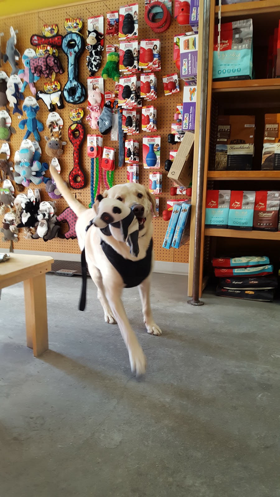 Pet Planet Glenmore Landing | 1600 90 Ave SW Unit A130, Calgary, AB T2V 5A8, Canada | Phone: (403) 255-7744