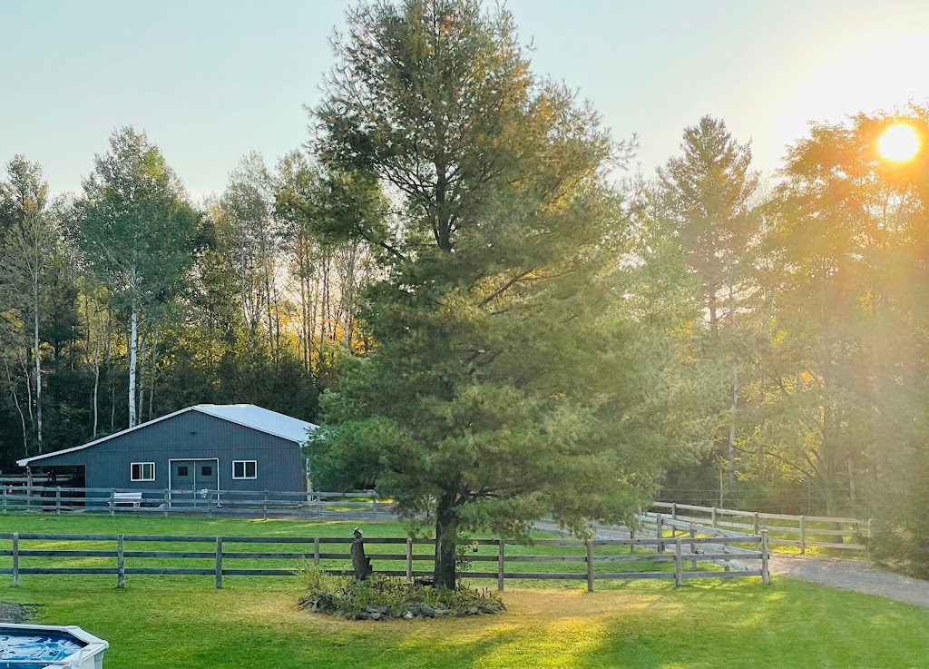 12345 Side Rd 17, Sunderland, ON | Side Rd 17 #12345, Sunderland, ON L0C 1H0, Canada | Phone: (905) 904-0038