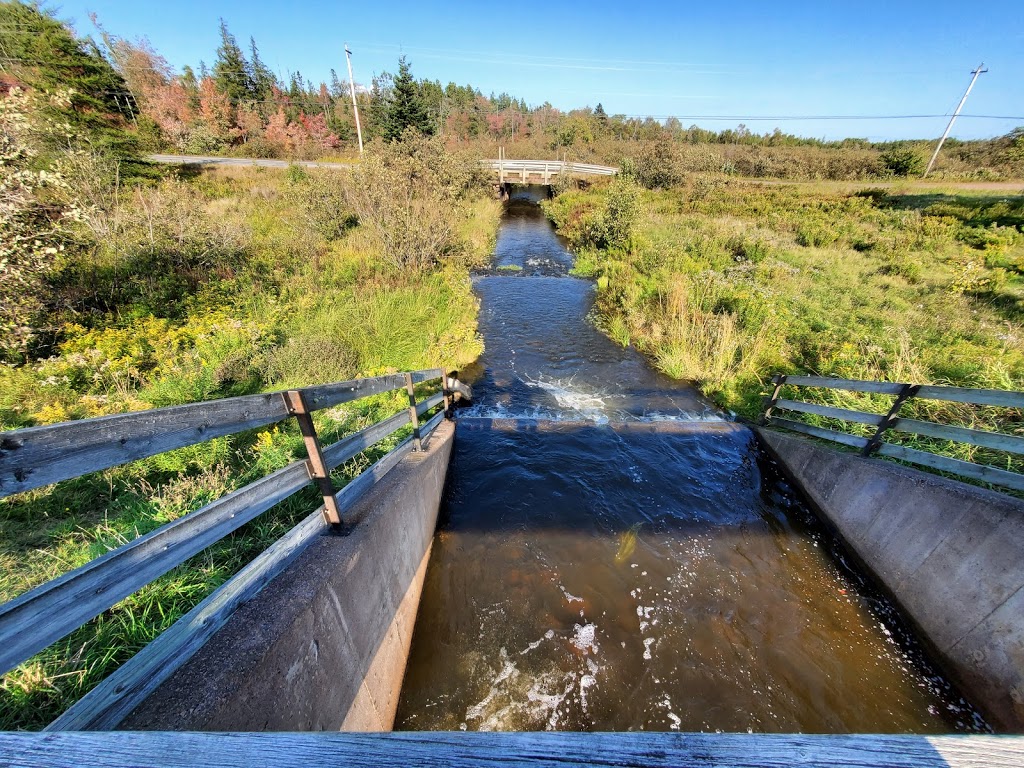 MacElmons Pond Provincial Park | 219 MacElmon Rd, Debert, NS B0M 1G0, Canada | Phone: (866) 230-1586