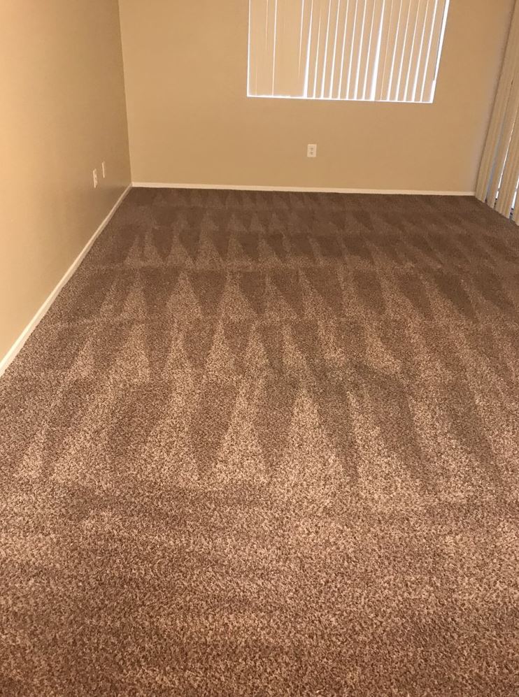 Six Carpet Cleaning of Oakville | laundry | 2348 Lakeshore Rd W, Oakville, ON L6L 1H5, Canada | 2892066054 OR +1 289-206-6054
