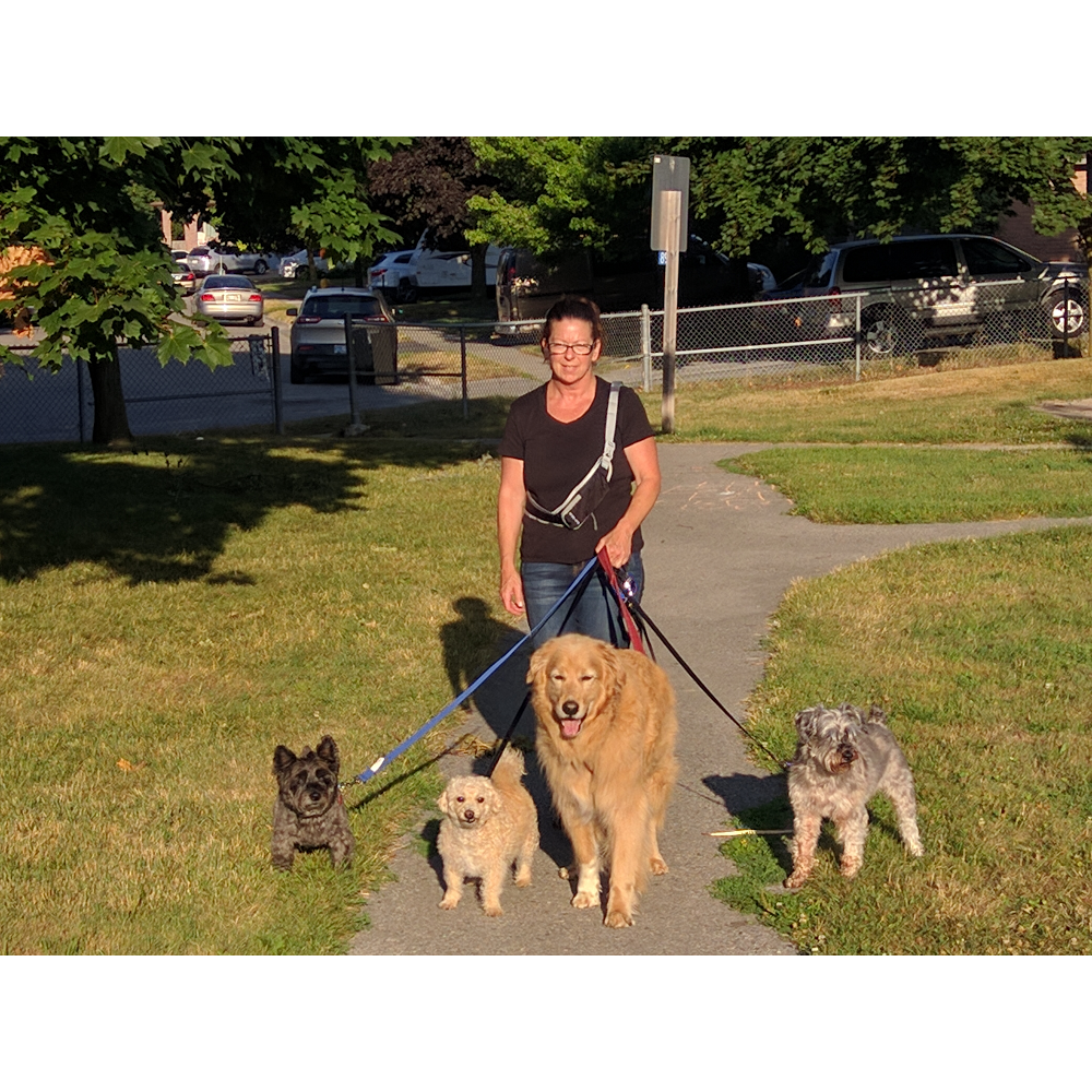 Waggin Tails Pet Services | 1 Heath Crescent, Port Perry, ON L9L 1K9, Canada | Phone: (905) 718-2494