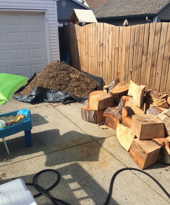 Tree Removal Barrie | 226 Bayview Dr, Barrie, ON L4N 4Y8, Canada | Phone: (705) 243-4540