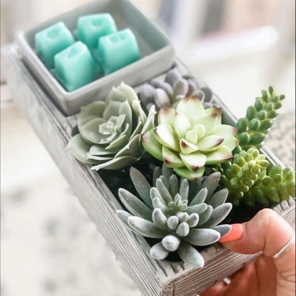 Melanie Kanters Independent Scentsy Consultant | 1452 Bridgeport St, Oshawa, ON L1K 2P5, Canada | Phone: (905) 903-6063