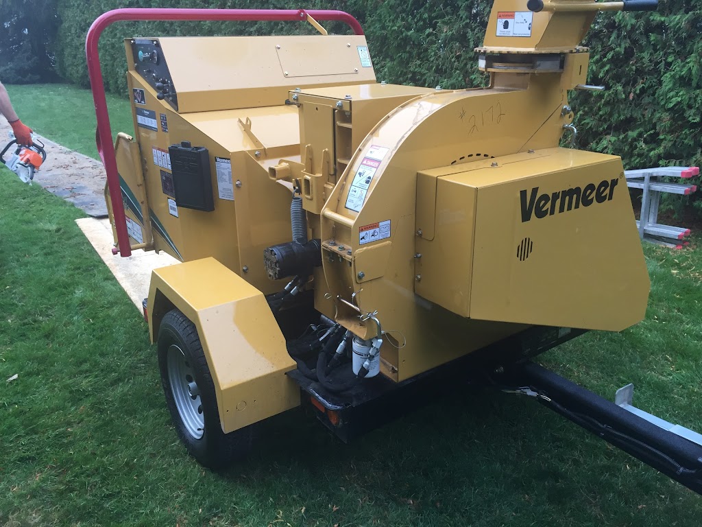 Vermeer Canada Inc | point of interest | 10 Indell Ln, Brampton, ON L6T 3Y3, Canada | 9057939339 OR +1 905-793-9339