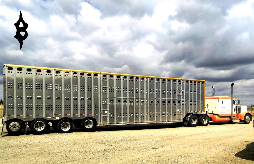 Bandit Heavy Diesel & Performance Ltd | 254023, Township Rd 242, Strathmore, AB T0J 1Y0, Canada | Phone: (403) 814-0293