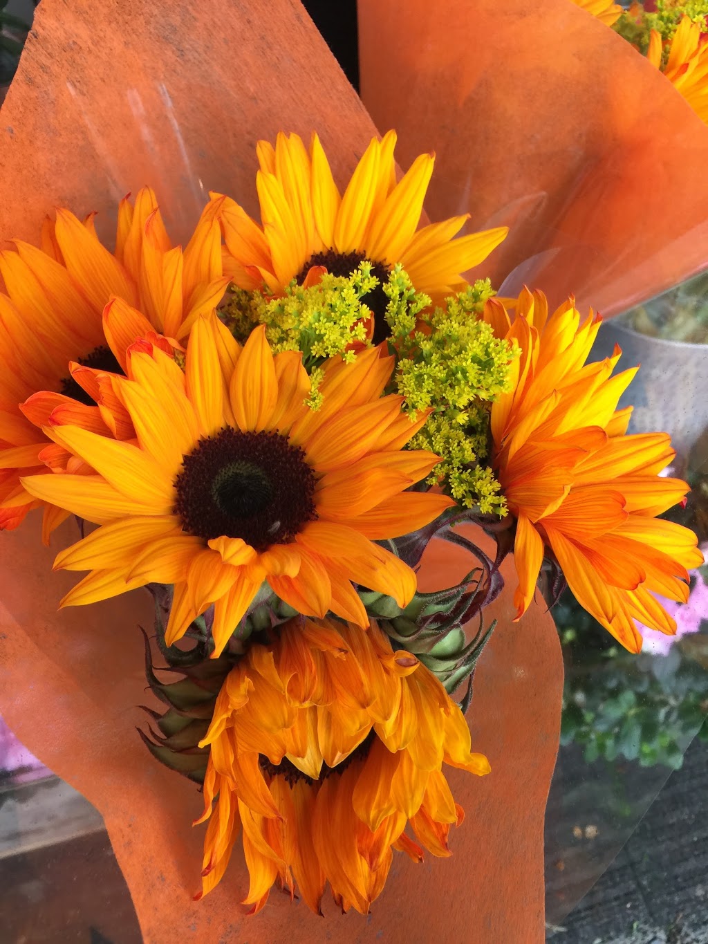 Hannah & Samuel Flower Shop | 2130 Western Pkwy, Vancouver, BC V6T 1V6, Canada | Phone: (604) 228-0113