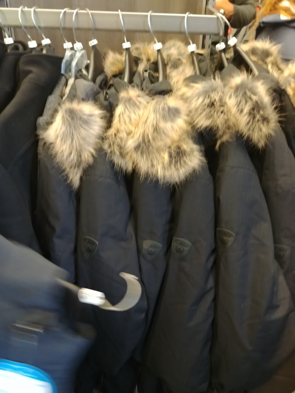 LÉquipeur | 709 Rue Clemenceau, Québec, QC G1C 7T9, Canada | Phone: (418) 661-6649