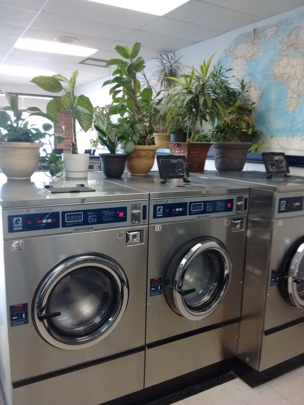 Belles Coin Laundry | 3908 17 Ave SE, Calgary, AB T2A 0S6, Canada | Phone: (403) 273-8224