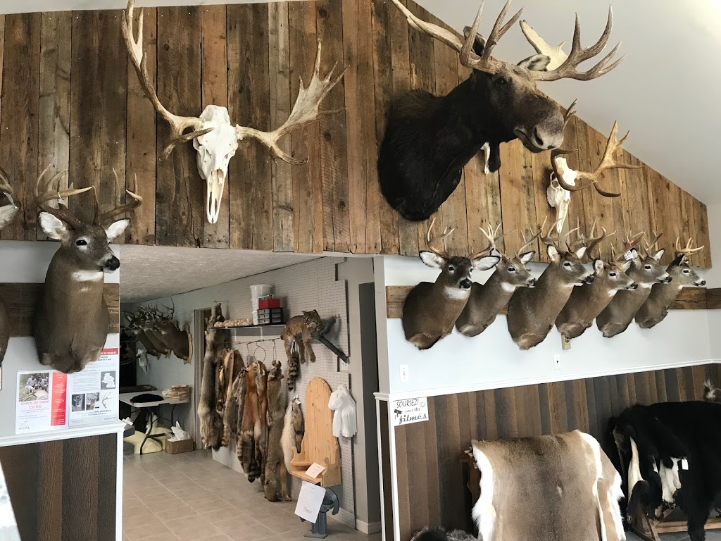 Mouldec Fournitures Canada Inc | 3331 Rue King E, Sherbrooke, QC J1E 3Y8, Canada | Phone: (819) 829-3819