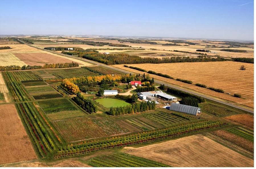 Billyco Junction Ltd. | 40110 RR260, Lacombe, AB T4L 2N4, Canada | Phone: (403) 392-4892
