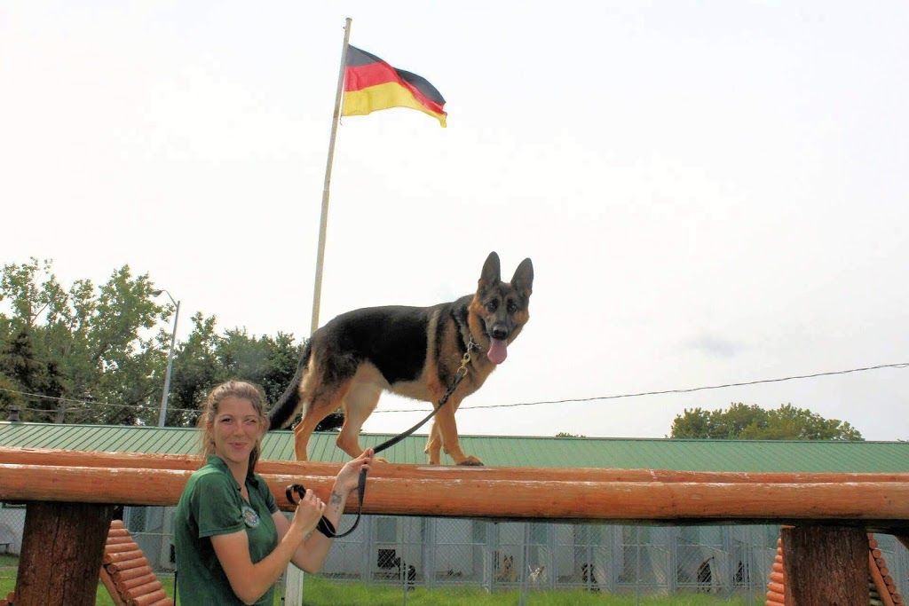 Crosshill Kennels | 4862 William Hastings Line Crosshill, Millbank, ON N0K 1L0, Canada | Phone: (519) 897-6757