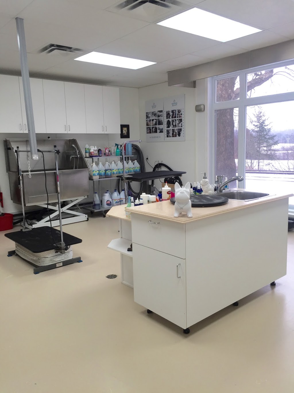 Ô Paradis Animal | 254 Chem. Foster, Bolton-Ouest, QC J0E 2T0, Canada | Phone: (450) 578-6248