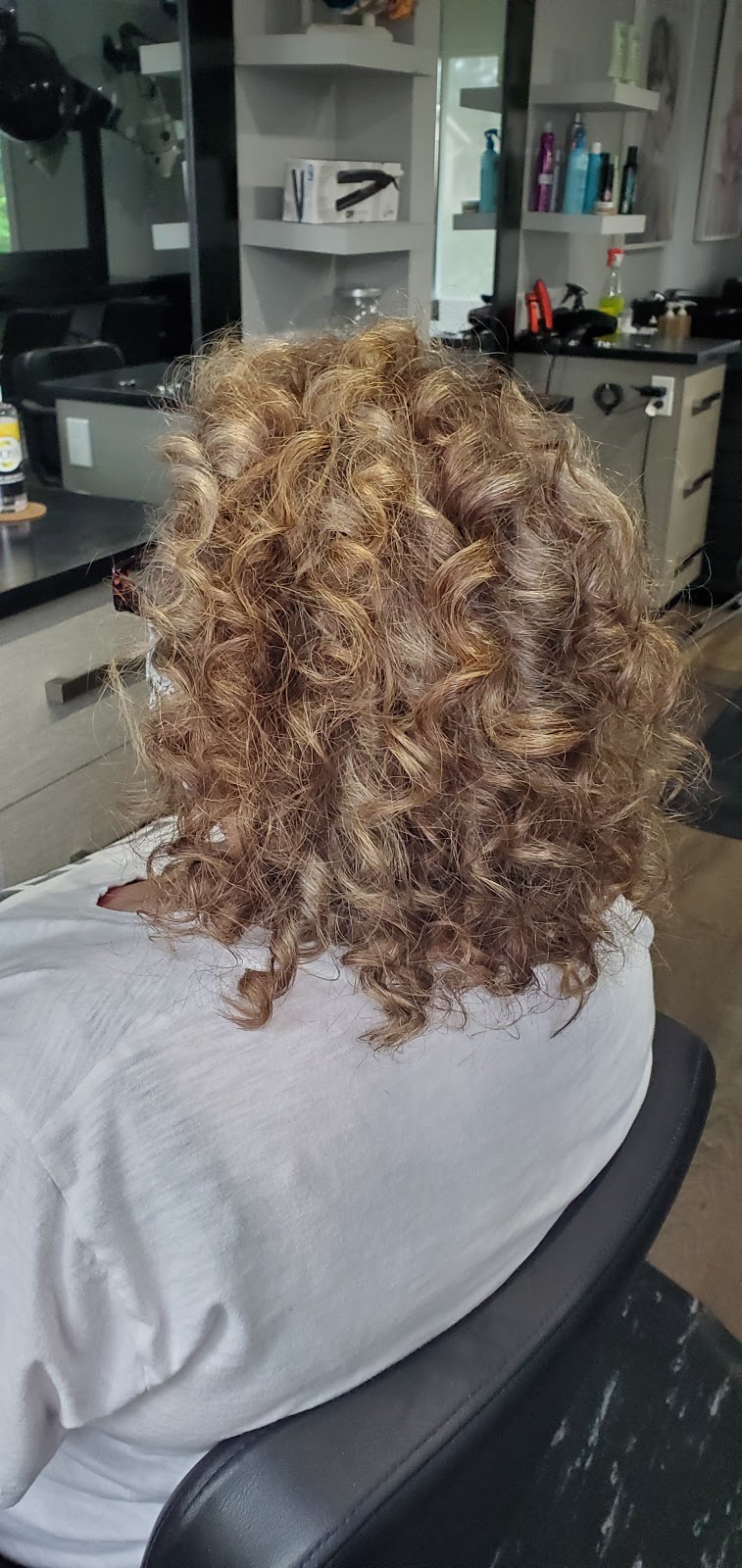 Melissa Fasciano Coiffeuse | 151 Bd Sainte-Rose, Laval, QC H7L 1L2, Canada | Phone: (514) 773-9001