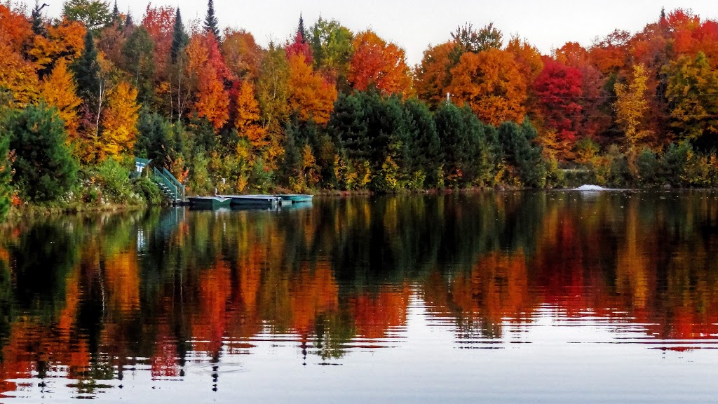 Denis Lavallée, antiquaire & galeriste | 2843 Chemin Royal, Sainte-Famille, QC G0A 3P0, Canada | Phone: (819) 268-8787